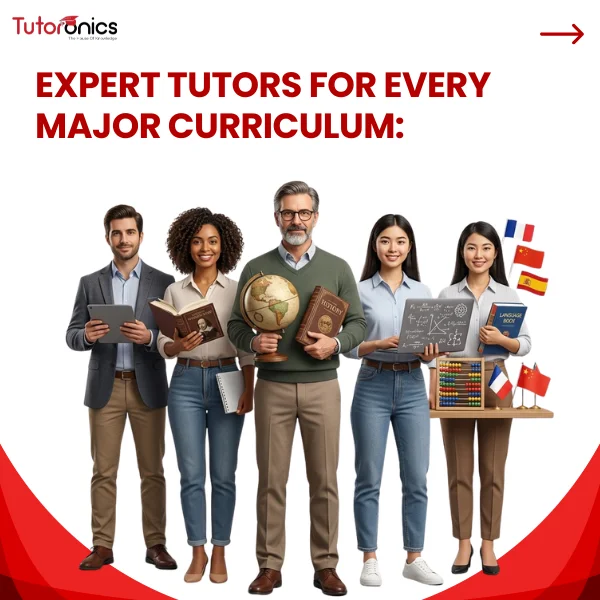 expert tutors